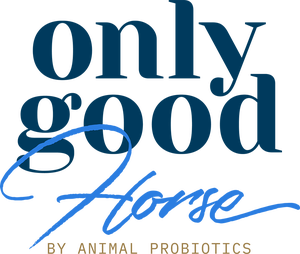 Logotyp för OnlyGoodHorse