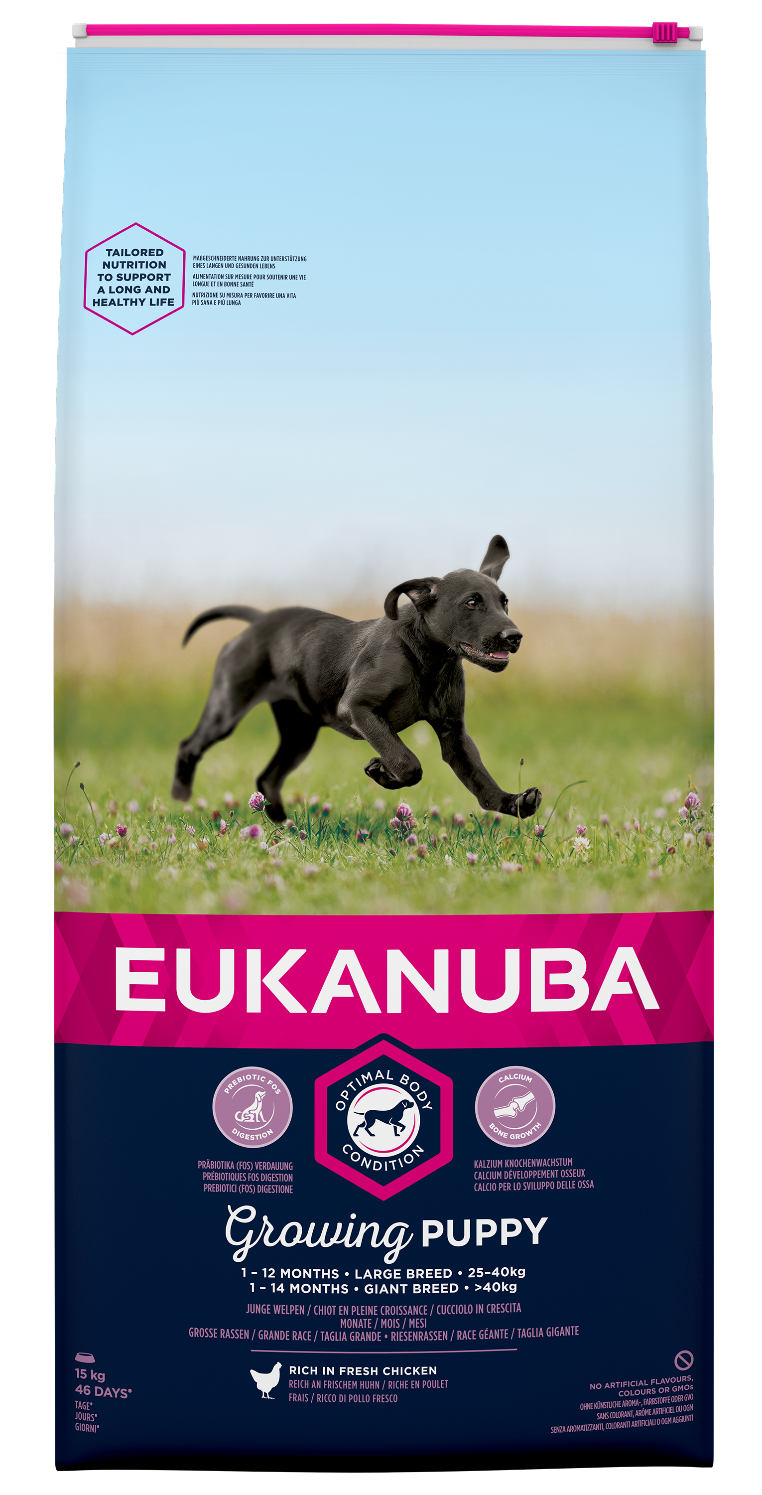 Eukanuba Growing Puppy Large 15 kg