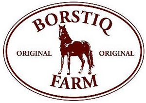 Logotyp för Borstiq