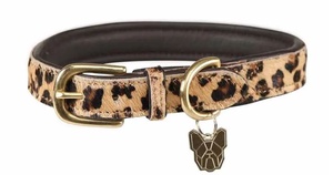 Digby & Fox Leopard Halsband