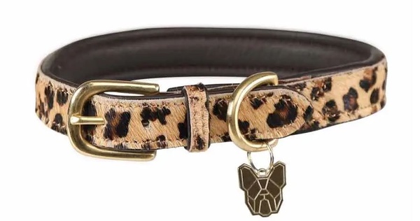 Digby & Fox Leopard Halsband - S