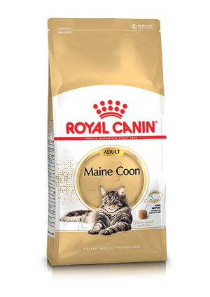 Royal Canin Mainecoon