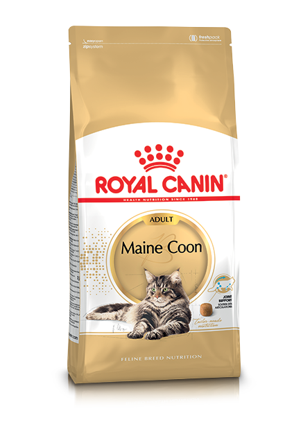Royal Canin Mainecoon - 10 KG
