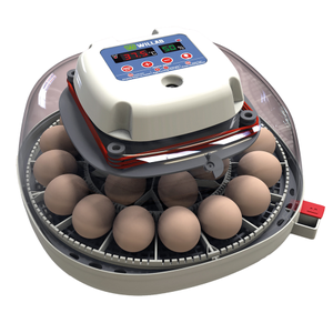 Äggkläckningsmaskin 22 ägg
