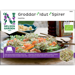 Groddar Hot Mix Organic